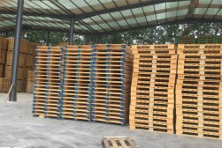 木托盤在大型購物商場的應用